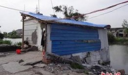 成都养猪场爆料案件最新,揭开养殖行业黑幕背后的惊人真相