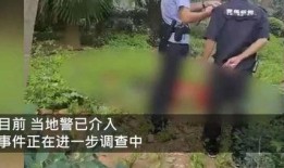 三亚网红爆料视频最新版,揭秘网红打卡地背后的秘密