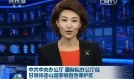 枫丹爆料时间最新消息新闻,揭秘神秘事件背后的真相